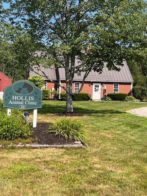 hollis animal clinic building